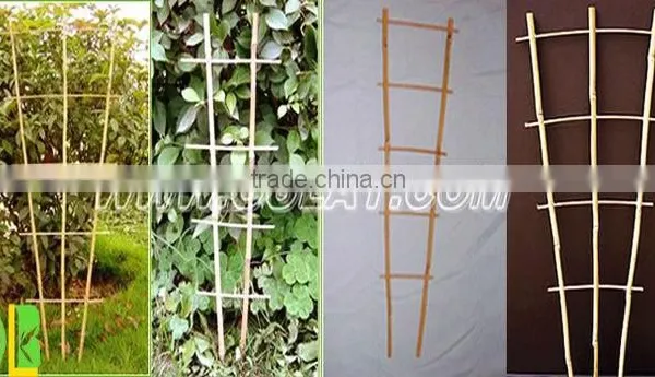Bamboo Poles Flower Trellis for Garden Support photo-4