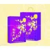 Blue Paper Gift Bag With Beautiful Flowers