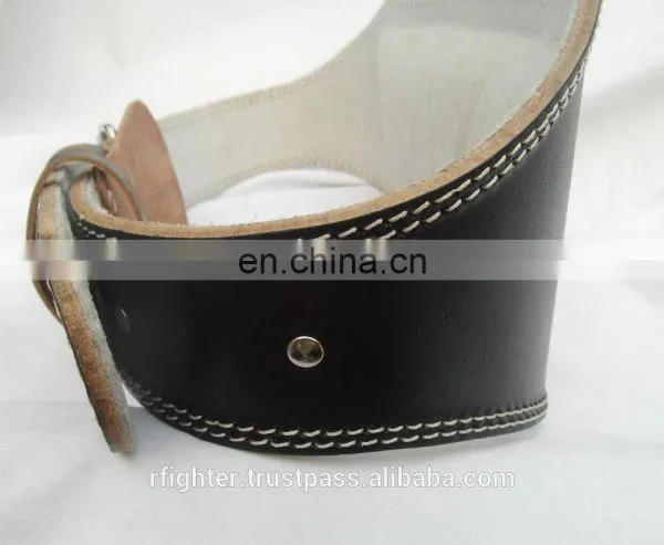 Weight Lifting Belt photo-2