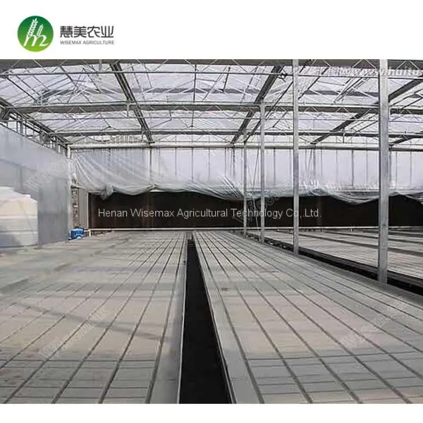 Aluminum Frame With Hot Galvanized Greenhouse Ebb and Flow Rolling Bench photo-2