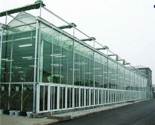 Commercial Glass Greenhouse With Clear PC Sheet Roof photo-3