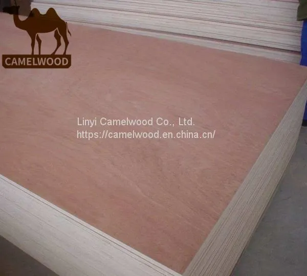 China Factory Supply High Quality Commercial Plywood for Decoration photo-4