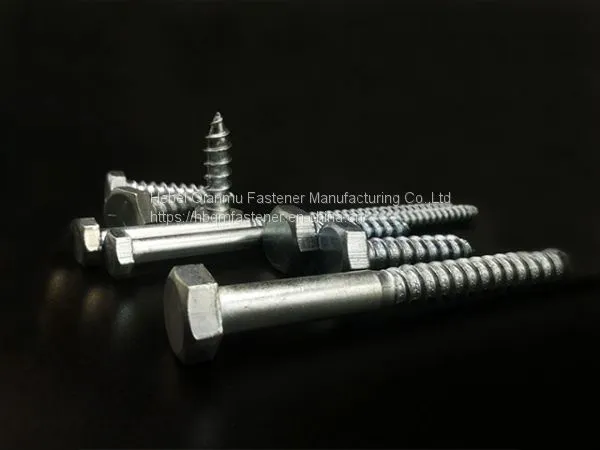 DIN571 M6 M12 Hex Head Wood Screw Fastener photo-4