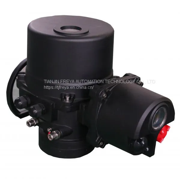 Rotary Actuator Electric Iqt2 Qt20 Iqt20-1 Iqt20-2 photo-3