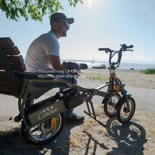 Reverse Three Wheel Foldable Electric Tricycle Inverted Three-Wheeled Folding Electric Car