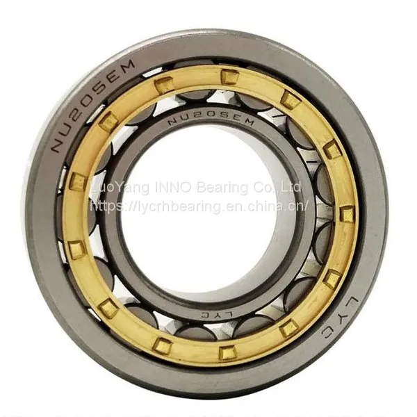 China Good Quality Cylindrical Roller Bearings photo-3