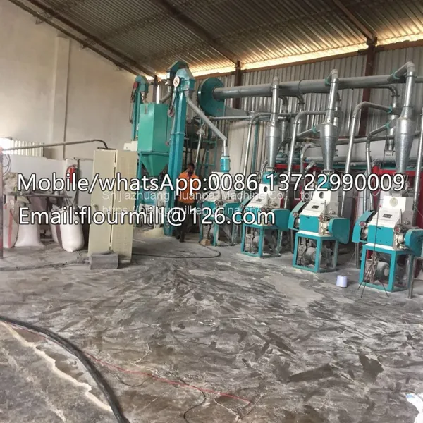 Small Grinder Machine Automatic Maize Corn Grain Milling Machine Grinding Equipment photo-3