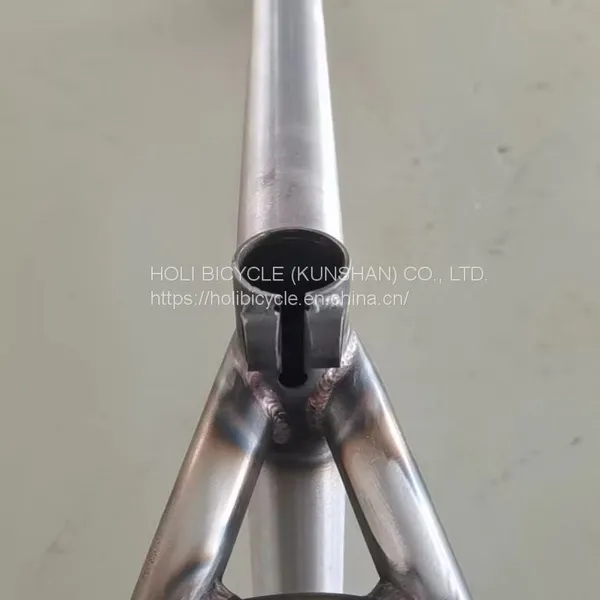 Cromoly Bike Frame BMX Bicycle Frame CR-MO 4130 Steel Bike Frame OEM Bmx Frame photo-3