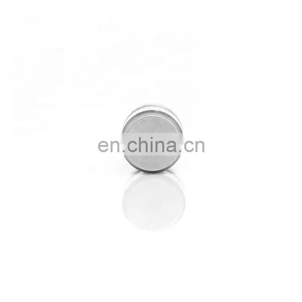 Supplier Valve Tappet Oil 1146061 1 146 061 1118064 1 118 064 1212979 1 212 979 1487788 420018110 420 0181 10 For General Motors photo-2
