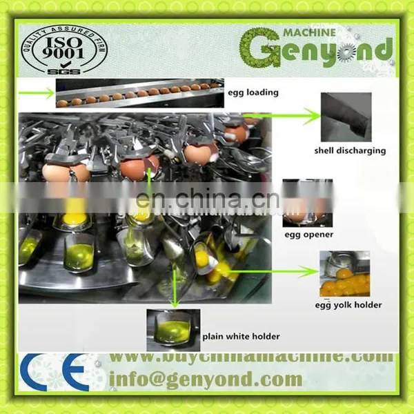 Eggshell Breaking Machine/egg Liquid Mixer Type Equipment/egg Cracker Machine photo-5
