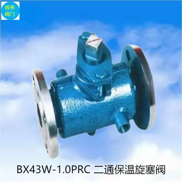 BX43W-1.0PRC двусторонний изолированный пробковый клапан