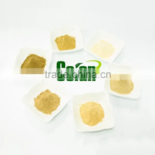 Instant Jujube Extract Powder photo-5