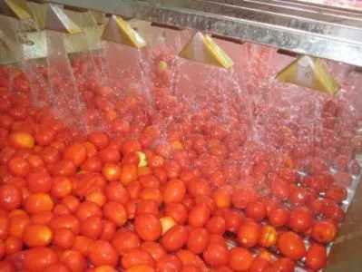 Shanghai Multifunctional Complete Fruit Paste & Jam Vacuum Evaporator Scraper photo-4