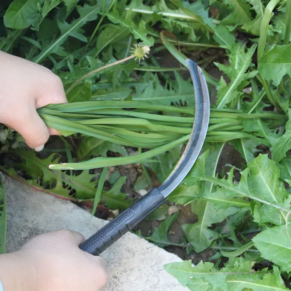 Professional Weed Sickle Sickle for Weeds Sickle Weed Tool for Garden Weeding Field Cleaning and Grass Cutting photo-3