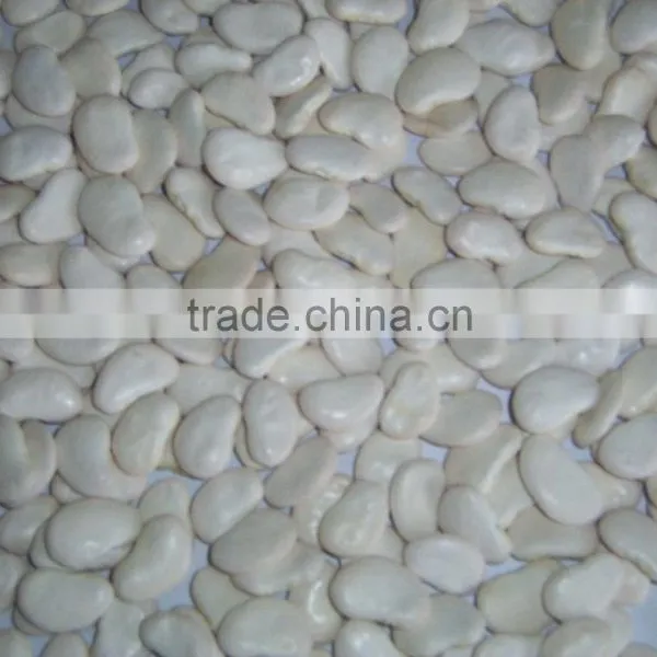 Lima Beans From Peru photo-2