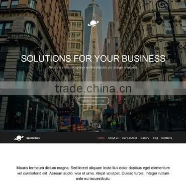 Professional CMS Web Design photo-2
