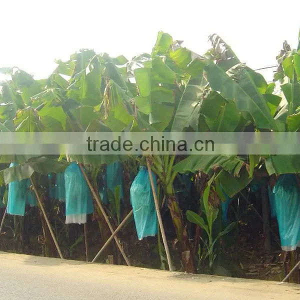 Hot Sale Banana Cultivation Bag With Micro Perforation photo-3