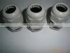 Supply Cable Gland/nylon Glands PG8 photo-2