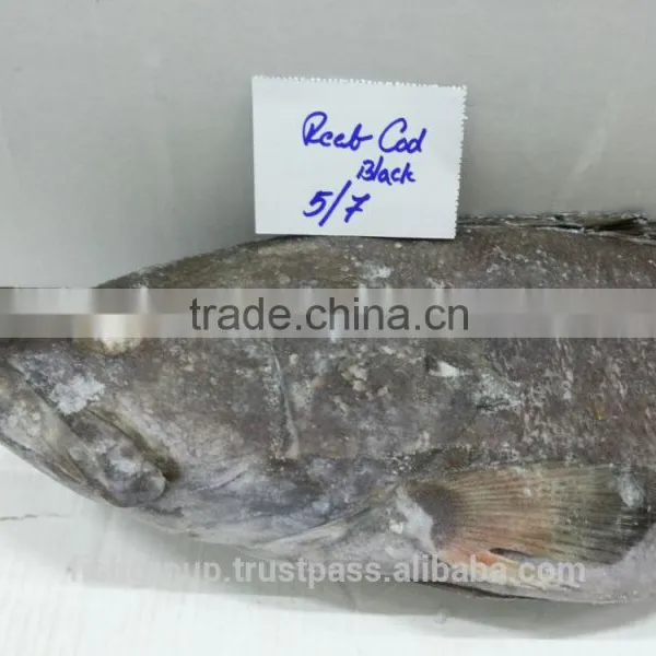 Grouper Whole Round photo-2