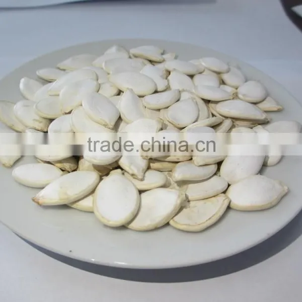 High Quality Shine Skin Pumpkin Seeds for Sale photo-4