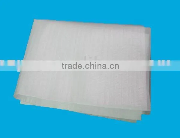 po Film Coated EPE Foam Bag