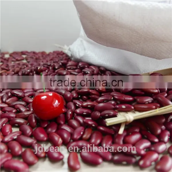 Dark Red Kidney Bean photo-6