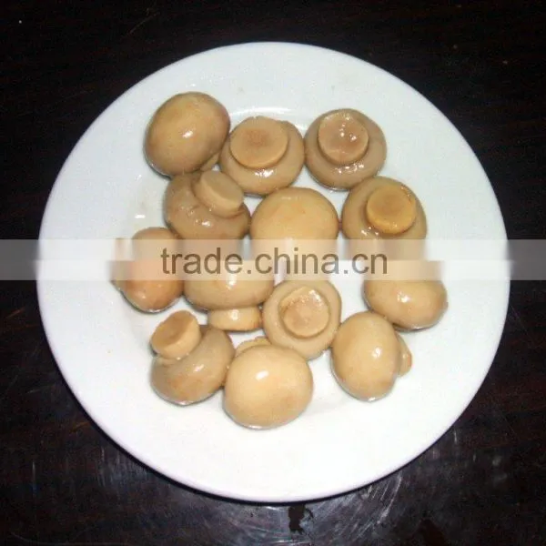 New Season Canned Whole Mushroom photo-3