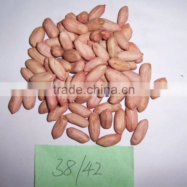Chinese Peanut Kernel With Whole Price From Factory photo-2
