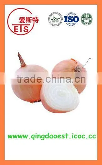 Export Best Quality Fresh Red Yellow White Onion photo-4