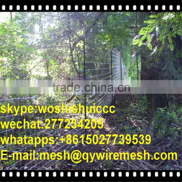 High Jonit Deer Fence,Farm Field Fence (SGS Certification) photo-6