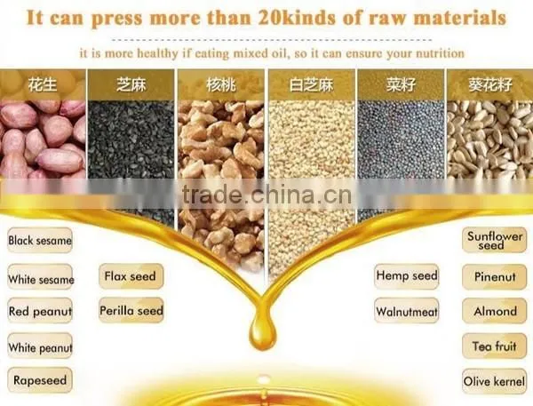 Screw Black Seed Oil Press Making Machine Rapaseed Oil Making Machine photo-4