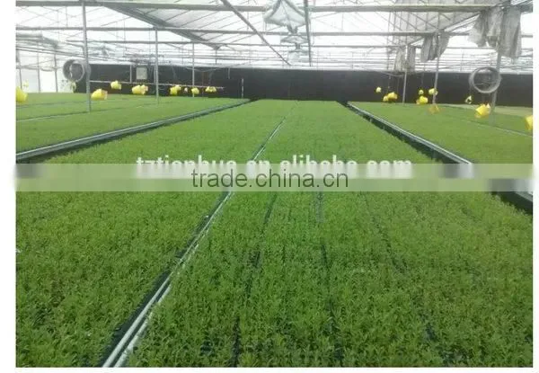 Latest Fashion Top Sell Competitive Price Nursery Seeding Tray photo-2