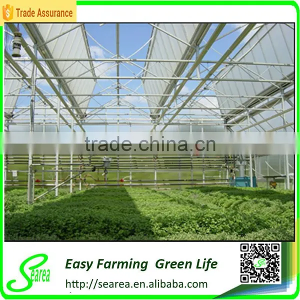 Multi-span Open Roof Green Houses