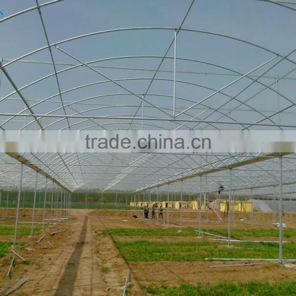 High Quality Commercial/agricultural Used Film Covering Greenhouse for Sale photo-4
