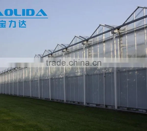 BaoLiDa High Quality PC Covered Greenhouse Hot-dip Galvanized Steel Framework Structure Greenhouse photo-4