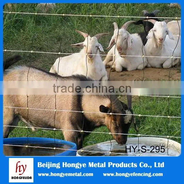 Made in China Cattle Fence/wrought Iron Metal Sty (AnPing Wire Mesh Base) photo-5