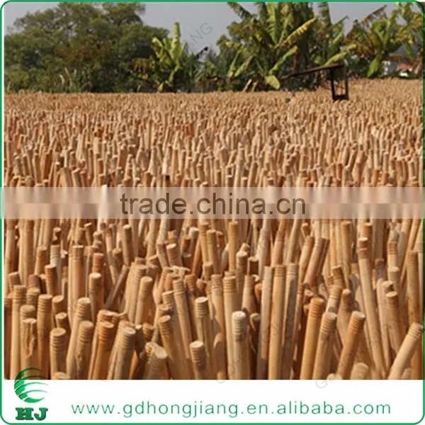 Nature Wooden Stake photo-6