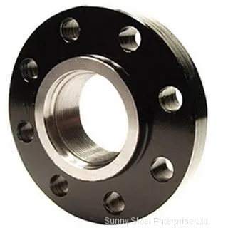 Carbon Steel Flange photo-4