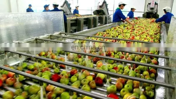 High Quality Fruit Juicer Machine/Commercial Juicer Machine/Fruit Juicer Production Line photo-4