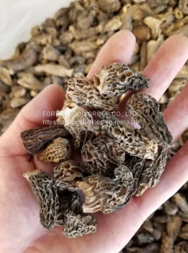 Factory Price Premium Quality Chinese Wild Dried Morel Mushroom Whole Without Fully Stem (1-3CM) photo-2