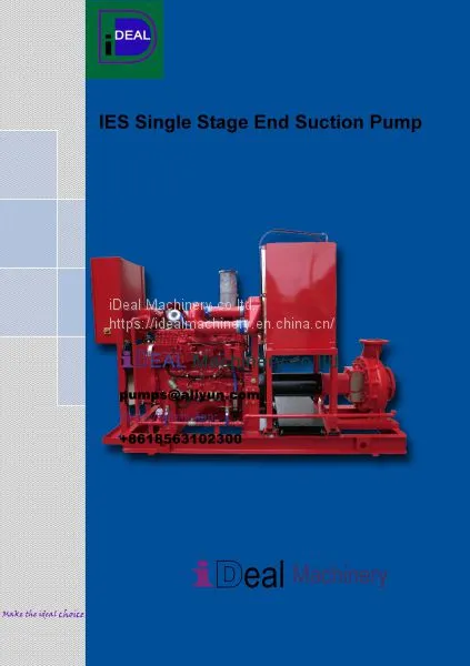 1. IES Ideal End Suction Pump IDeal Machinery
