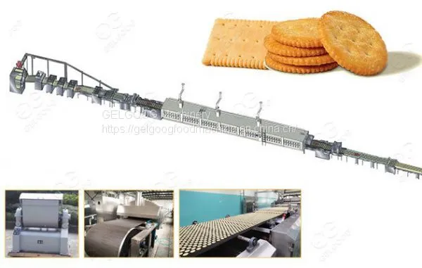 Automatic Biscuit Making Production Line Price Gelgoog.com photo-2