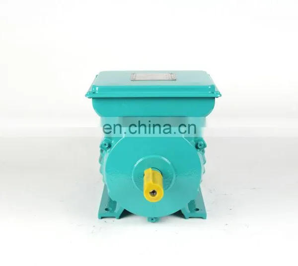 YL Sery Single Phase Magnetic Motor Sale photo-6