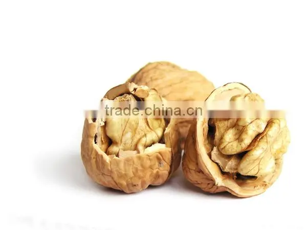 Best Quality and Delicious Natural Walnut Kernel