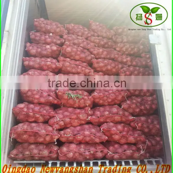 The Dry Chili in China photo-5
