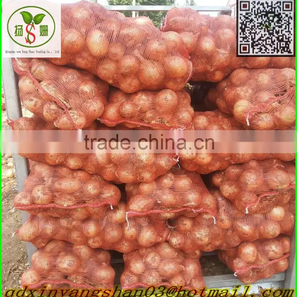 Chinese Exporters of Good Faith: Fresh Onion, Yellow Onion photo-5