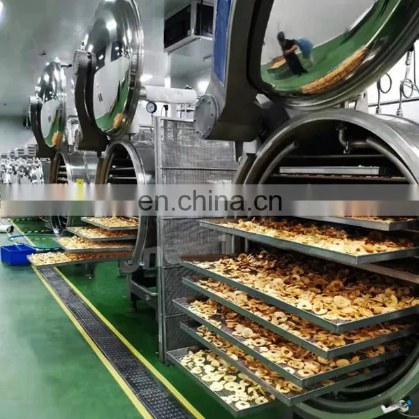 Industry Fruit and Vegetable Food Lyophilizer Machine Price photo-4