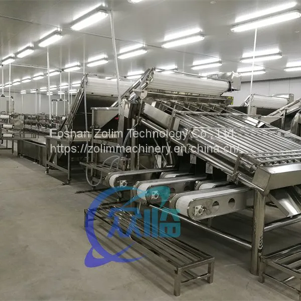 Shrimp Grading Machine With 12 Rollers Shrimp Processing Line China Seafood Processing Machinery photo-3