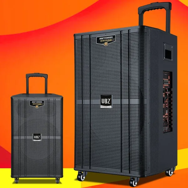 12-inch Outdoor Party Subwoofer With Bluetooth