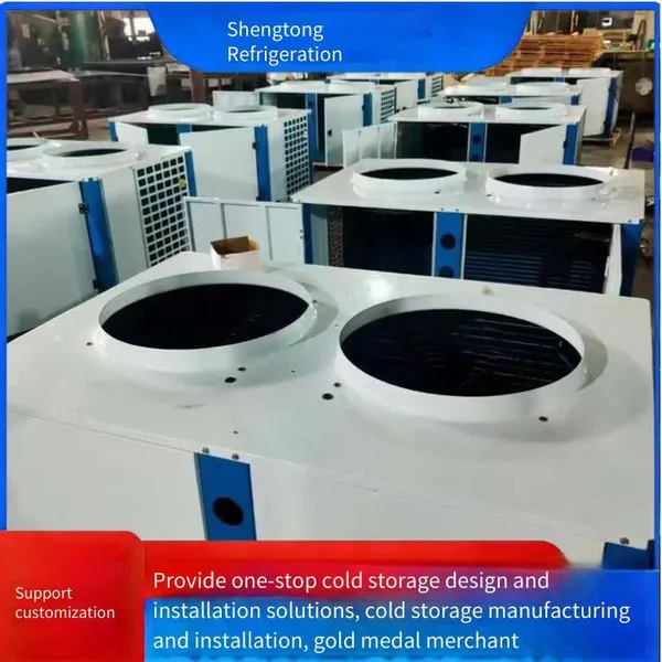 Frozen and Refrigerated Ceiling-mounted Air Coolers Dd200, Dl260, Cold Storage Evaporators Dj140, Refrigeration Units photo-2